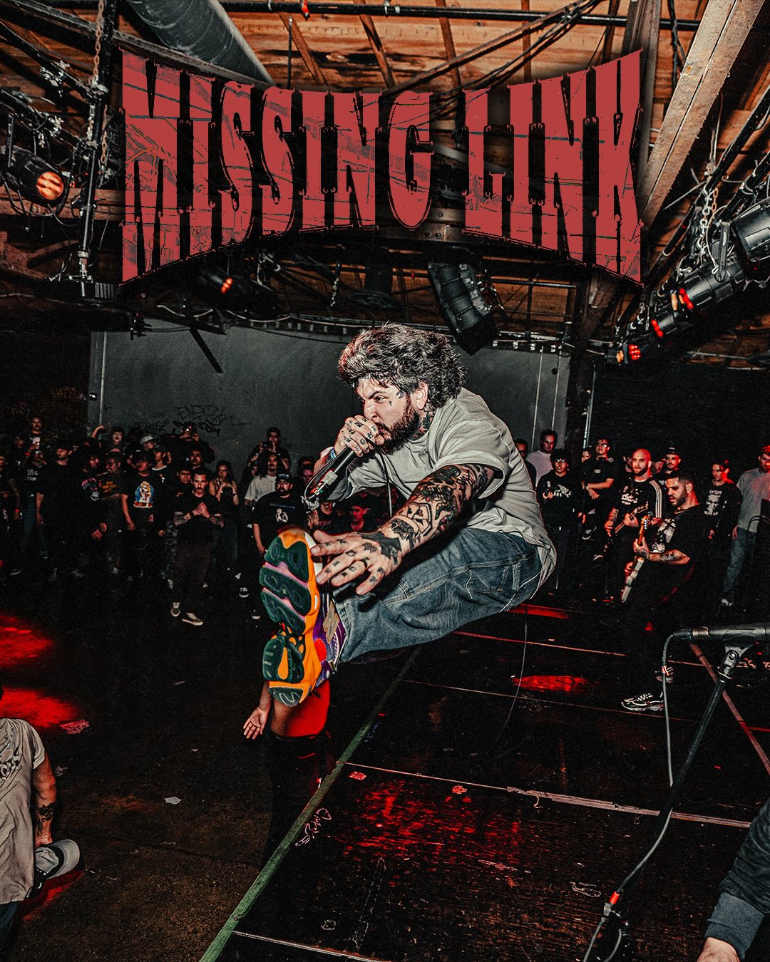 Missing Link